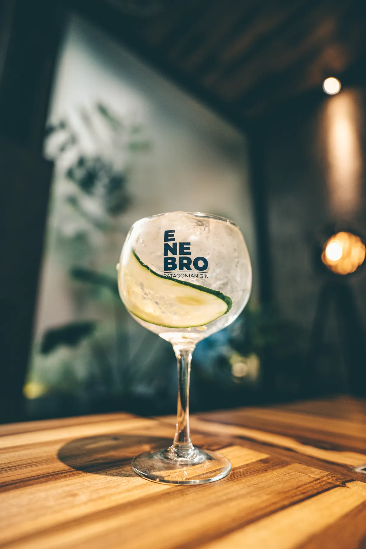 la peninsula bebidas gin tonic tinto de verano radler carrusel quienes somos 1