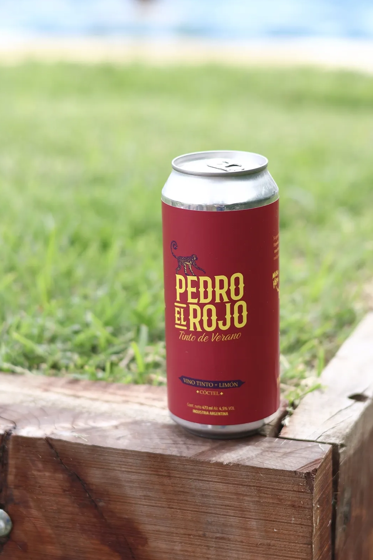 la peninsula bebidas gin tonic tinto de verano radler carrusel quienes somos 5
