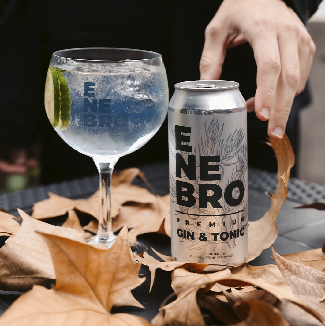 la peninsula compañia de bebidas quienes somos -tintos de verano gin